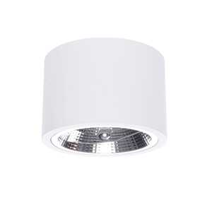 Light Prestige Camino LP-1101/1SM WH spot lampa sufitowa 1x9W QR111 biała