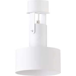 Sigma Rif Plus 1 31201 plafon lampa sufitowa 1x60W E27 biały